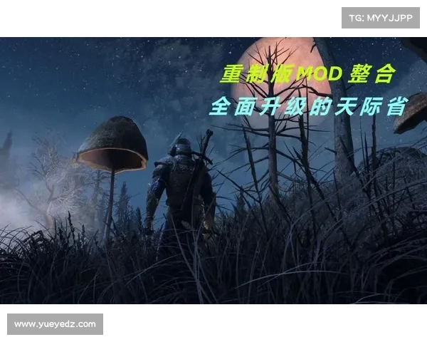 如何查询英雄联盟补偿地址及解决常见问题的全面指南