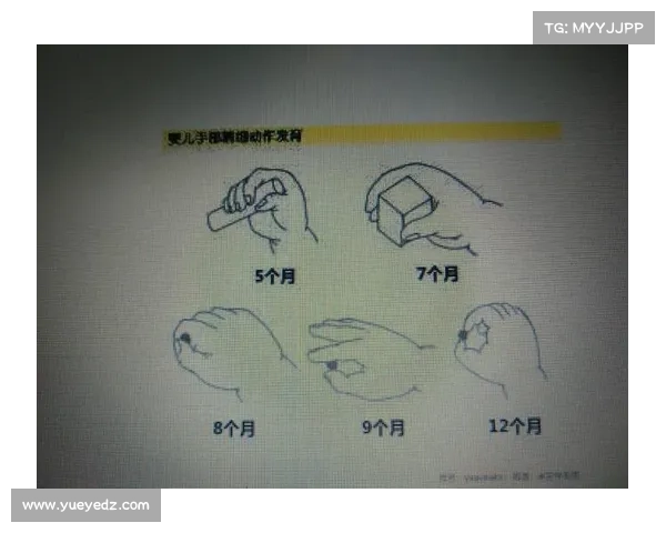 提升战斗技巧的有效训练方法与实践路径探索 提升战斗技巧的有效训练方法与实践路径探索